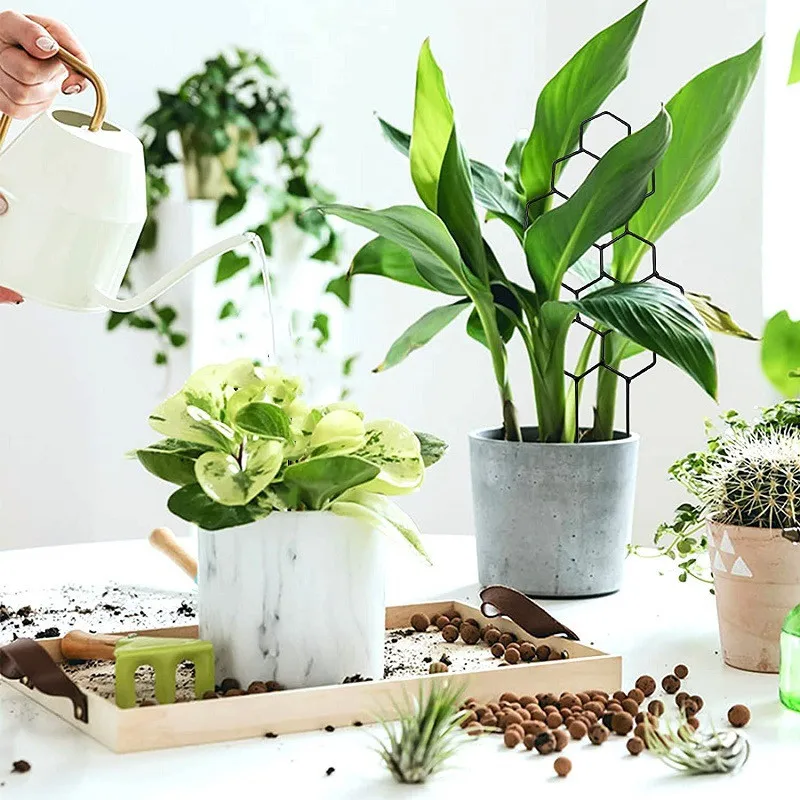 Metal Honeycomb Shape Plant Trellis for Climbing Hexagon Stake Indoor Home Plants Supporter Balcony Climbing Plant Metal Rack climbing plant trellis
