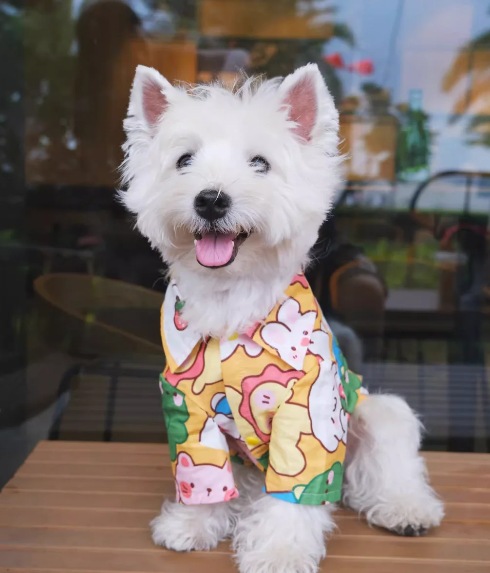 Summer Pet Clothes - PeticaDeals