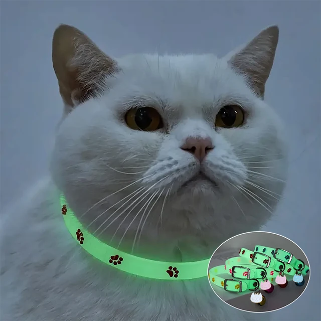 Cat Collar Glow in the Dark Footprint Cute Charms Adjustable Luminous Pet Collar for Kitten Chihuahua Night Walking Camping Cat Collar Glow in the Dark Footprint Cute Charms Adjustable Luminous Pet Collar for Kitten Chihuahua Night Walking Camping