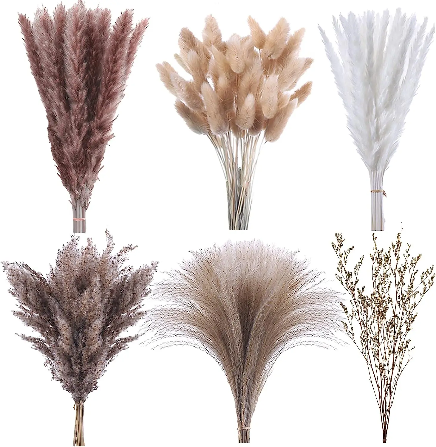30 Natural Black Pampas Grass Stems 17 Inch Dried Fluffy Small