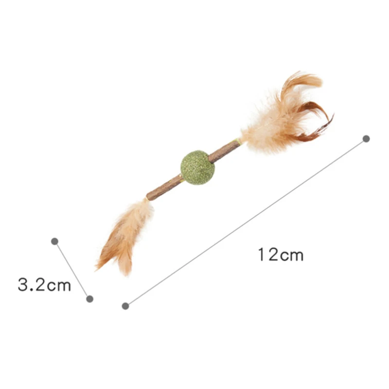 Cats Chew Toy Natural Catnip Matatabi Actinidia Silvervine Cleaning Teeth Toy Cat Snacks Sticks Remove Cat Tartar Home Toys
