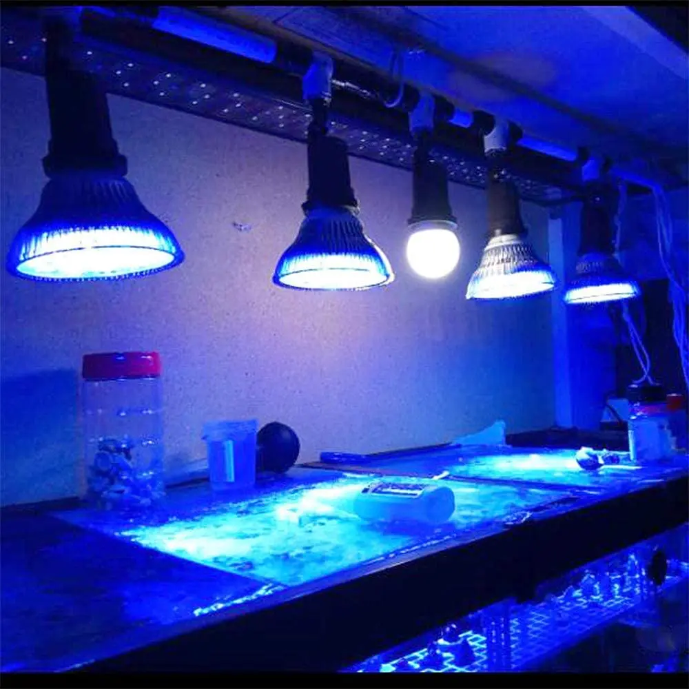 iGrowsla LED Aquarium Light , 18W Refugium Bulb Fish Tank System, 6 Band Full Spectrum Lamp