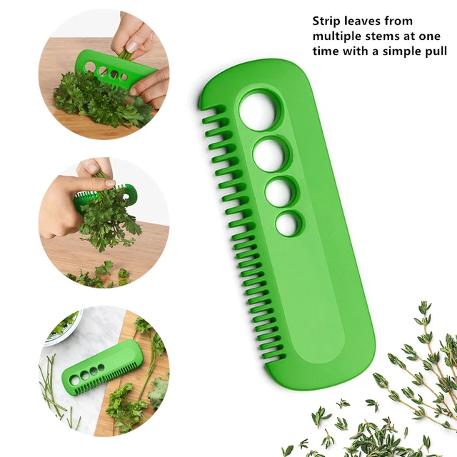 2Db/Beállított Vanília Friss Tartó Kupa Konyhai Prémium Gyógynövény-Takarékos Eszközök A Zöld Tároló Doboz Levél Peeler Szervező Konténer - Image 2