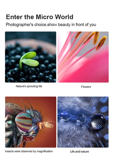Viltrox DG-C Auto Focus AF Macro Extension Tube Lens Adapter for Canon EOS  2000D 1500D 850D 77D 60D 5D Mark IV 7D 80D 1DS 6D - AliExpress