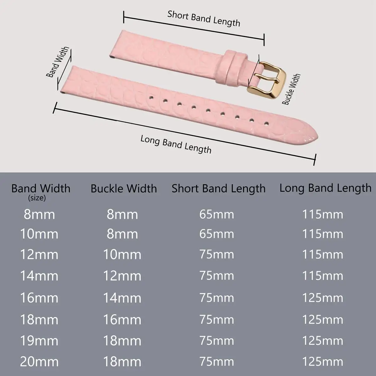 BISONSTRAP Genuine Leather Watch Band for Ladies Women 8mm 10mm 12mm 14mm 16mm 18mm 19mm 20mm Replacement Strap Stainless Buckle