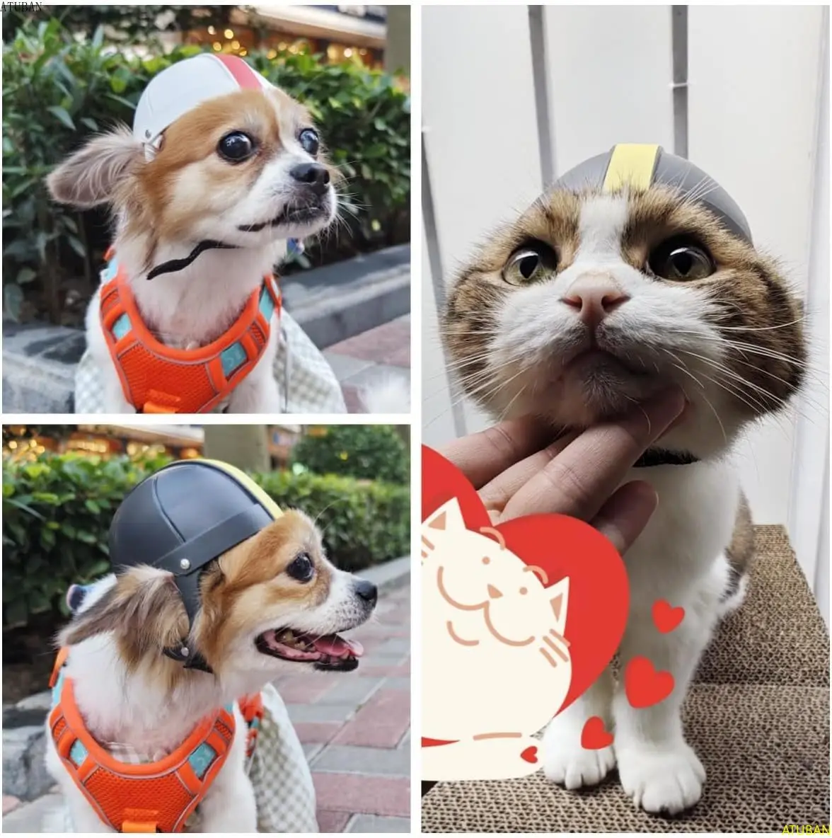 Dog Helmet for Outdoor Activities 4
