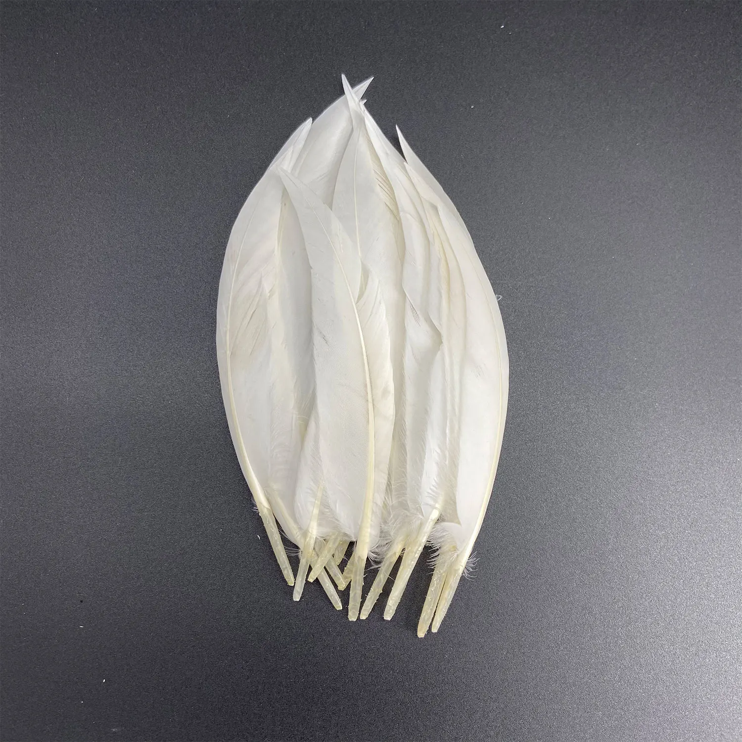 Penas De Faisão Branco Para Artesanato, Pena De Avestruz Natural, Ganso, Plumas De Turquia, Acessórios Do Apanhador De Sonhos, Decoração De Casamento DIY, 20Pcs