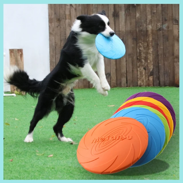 Eco-Friendly Silicone Flying Disc Dog Toy – Durable Chew-Resistant Puppy Frisbee for Interactive Outdoor Training & Play B2 Eco-Friendly Silicone Flying Disc Dog Toy – Durable Chew-Resistant Puppy Frisbee for Interactive Outdoor Training & Play B2