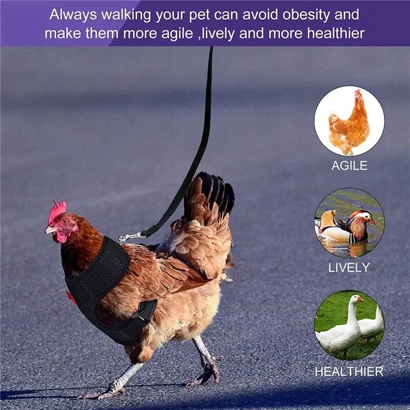 Pet Adjustable Harness Leash for Chicken Puppy Comfortable Breathable Pet Vest for Small Dogs Duck Goose Training Accessories chicken toys accessories