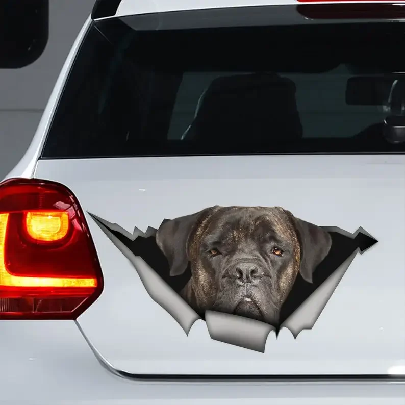 Brindle Cane Corso Car Decal, Brindle Cane Corso Sticker, Cane Corso Magnet