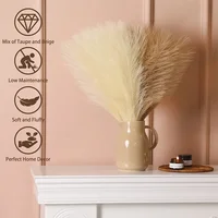 Artificial Pampas Flowers 10pcs Boho Home Decor Bouquet Party Wedding Centerpieces DIY Accessories Fake Flower Reed Pampas Grass 4