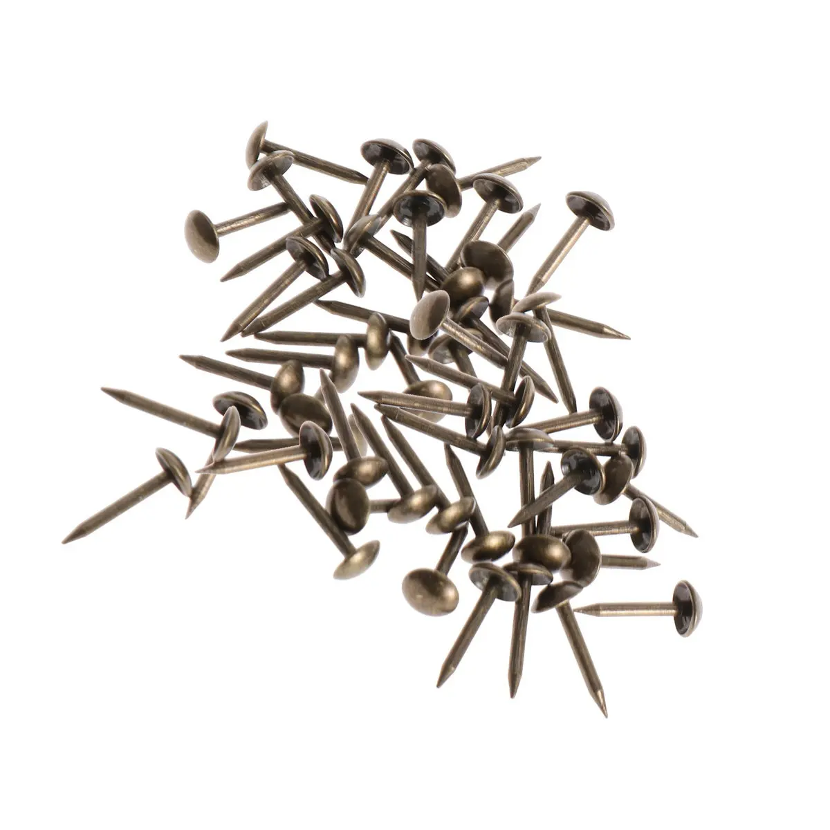 100개 두꺼운 원형 황동 못 6x14mm 철제 소파 장식 가구용 못 원형 못 황동 못