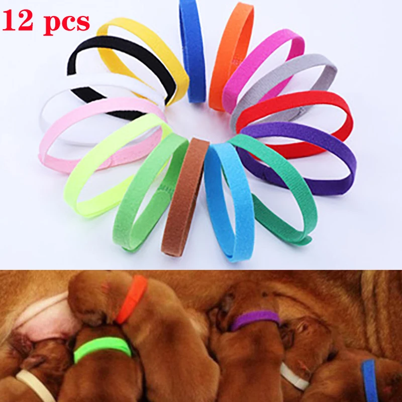 12 Pz/Set Cucciolo Animali Domestici Neonati Identificare Collari Nylon Regolabile Collari Per Cani Di Piccola Taglia Collana Per Gattini Collari Per 