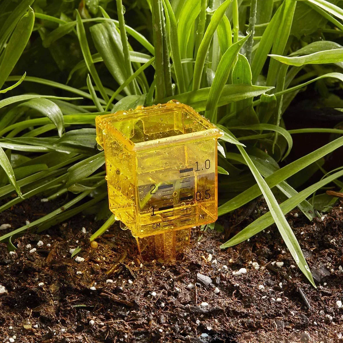 Misuratore Di Umidità Per Piante [2025] – Indicatore Livello Acqua E Sensore Per Terreno, Perfetto Per Giardinaggio E Vasi
