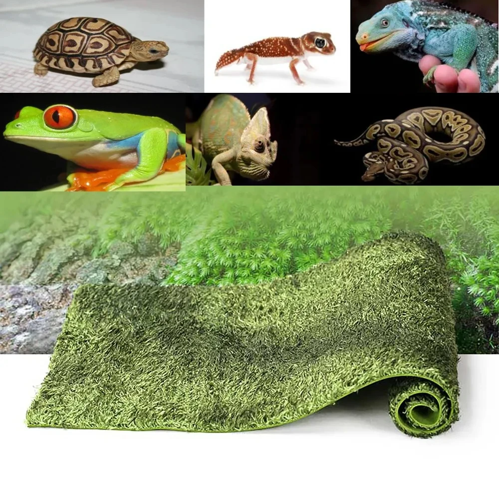 Reptile Box Carpet Tortoise Box Bottom Mat Reptile Pet Landscaping Mat Breeding Moss Bottom Soft and Moisturizing