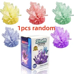 Crystal Growing Science Kit for Fun Parent - Child Chemistry Exploration (1pcs random)