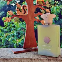 100ml AMOUAGE GUIDANCE 46 Parfum Oriental Boisé Floral Épicé Longue Durée Collection de Parfums de Luxe Élégants 4