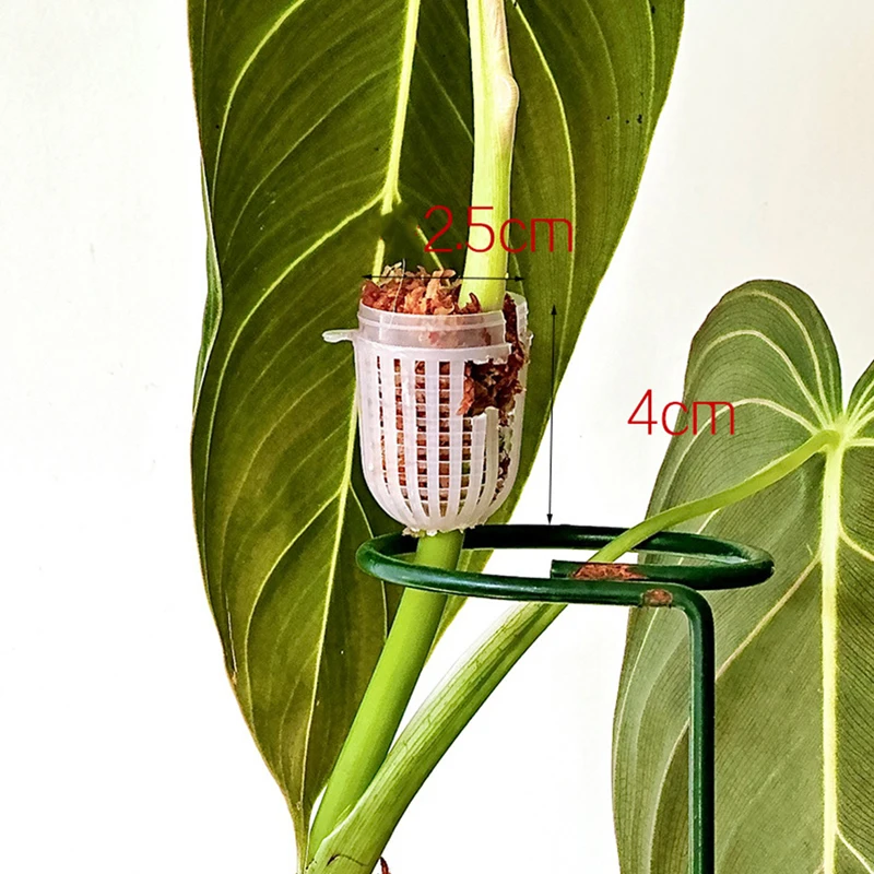 Climbing Plant Indoor Plant Support Extension Pole Stick Climbing Creepers Moss Extension Plant Stand Garden Accessories