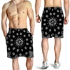 3D Print Black Paisley Bandana Pattern Shorts For Men Quick Dry Oversized Beach Shorts Homme Mens Swim Trunk Short Pants 2