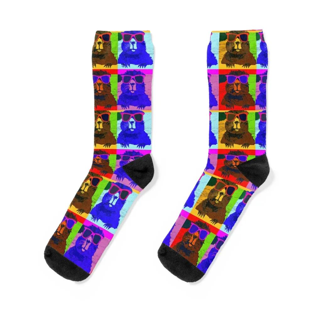 

Good ol' Beaver Critter Tribute ... Andy Warhol Pop Art Style Socks winter thermal Sports Socks Men Women's