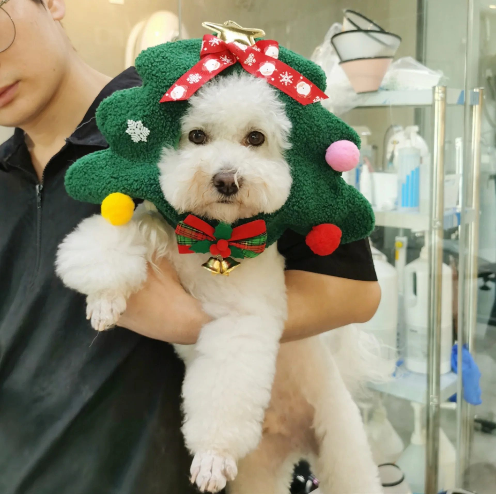 Chapeau de Noël Arbre de Noël | Bouledogue Français | Chat | Luxe - 2025 - Vêtement et accessoires pour chiens - Doglovedesign