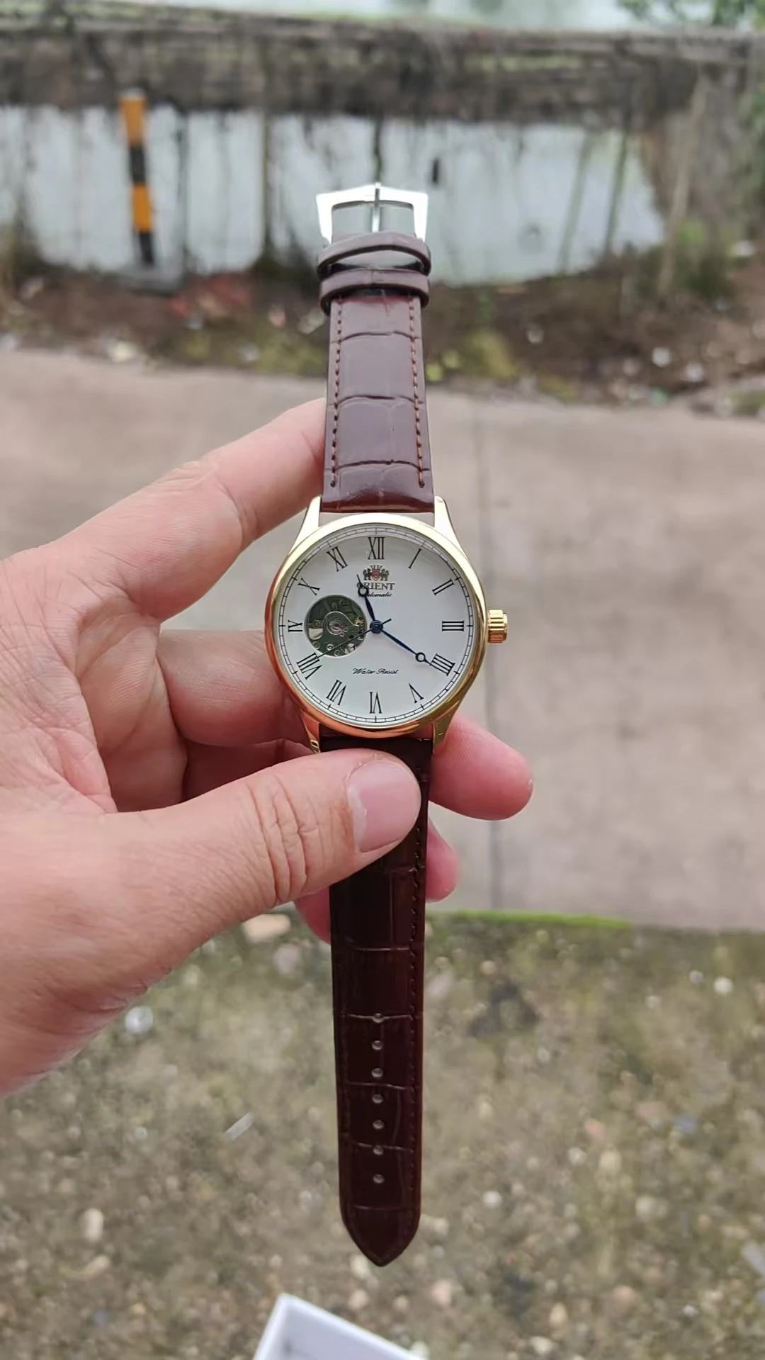 118A Store Mechanical Skeleton Watch with Full Functions, World Time, Minimalist Orient Style - 3