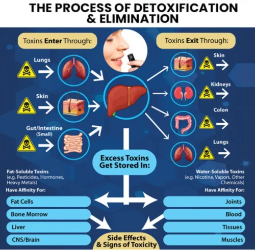 Рисунок 4 - Сжимание и детоксикация
