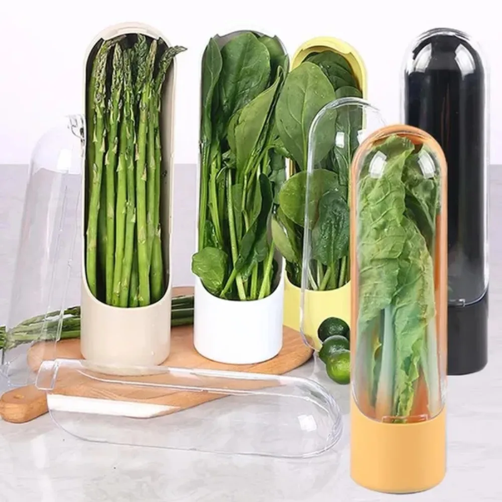 2Pcs Refrigerator Fresh Keeper for Vegetable Herbs Saver Storage Parsley Cilantro Containers 2
