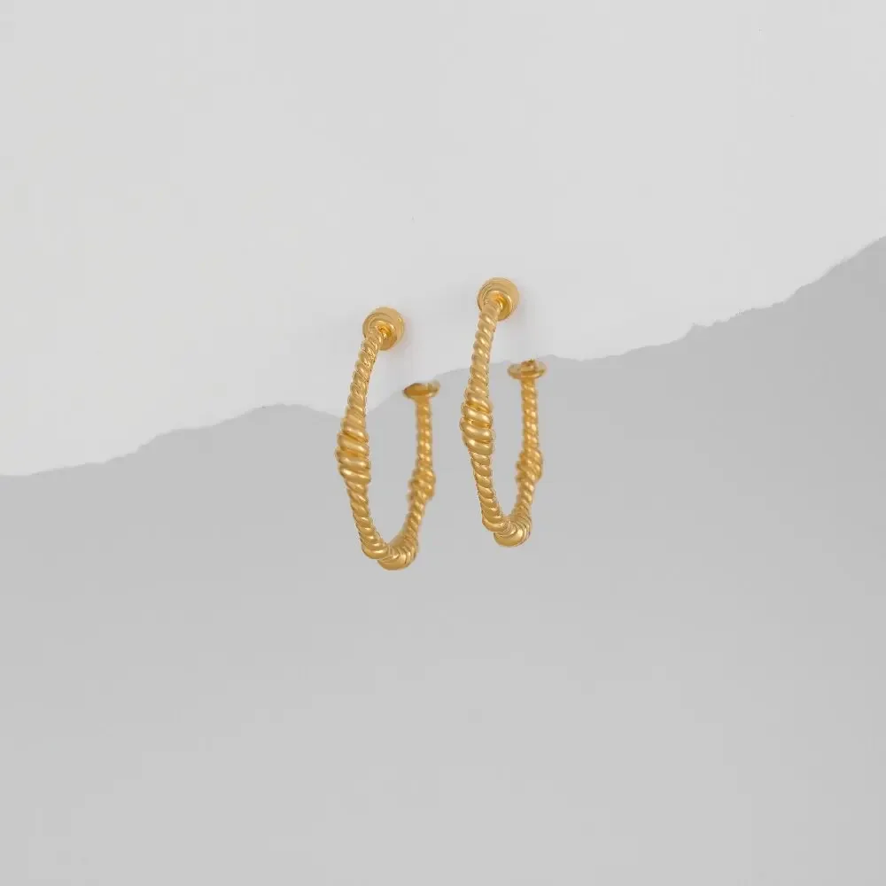 Oversize Rope Circle Round Twist Hoop Earrings Minimalist Gold Color Huggie Ear Buckle Fashion Jewelry 2025 New Bijoux Stylish