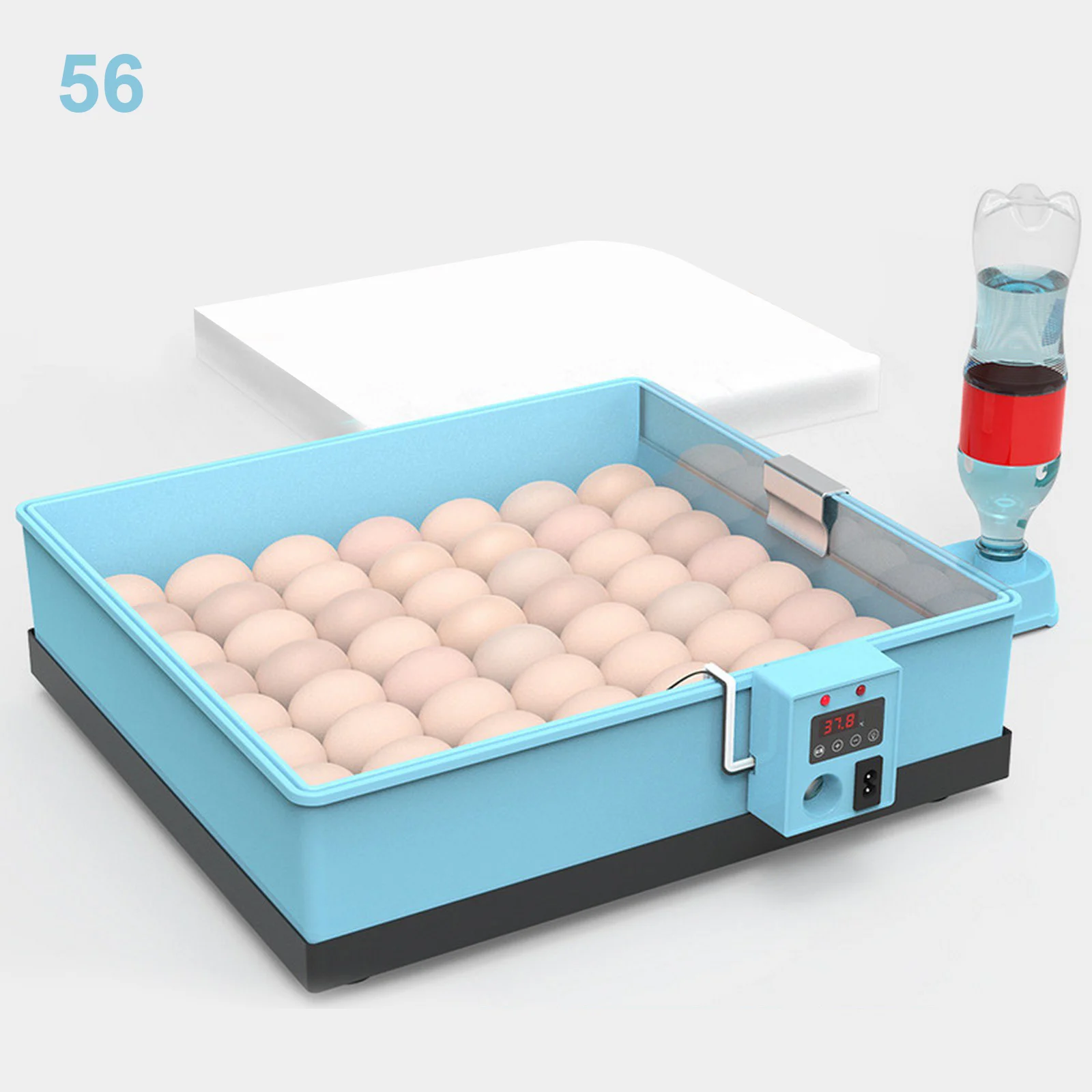 56 eggs