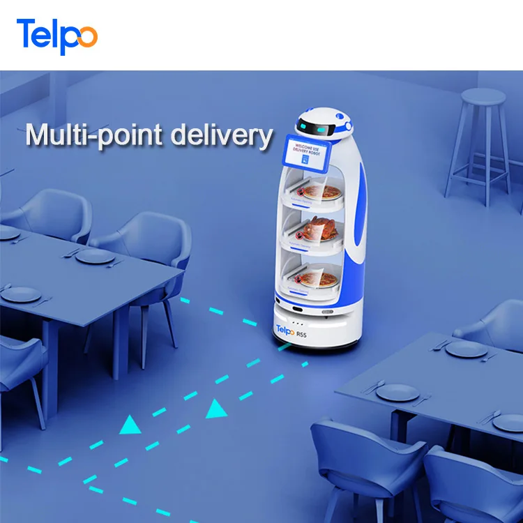 Рисунок 5 - Telpo R55 Интеллектуальный самоуправляющийся