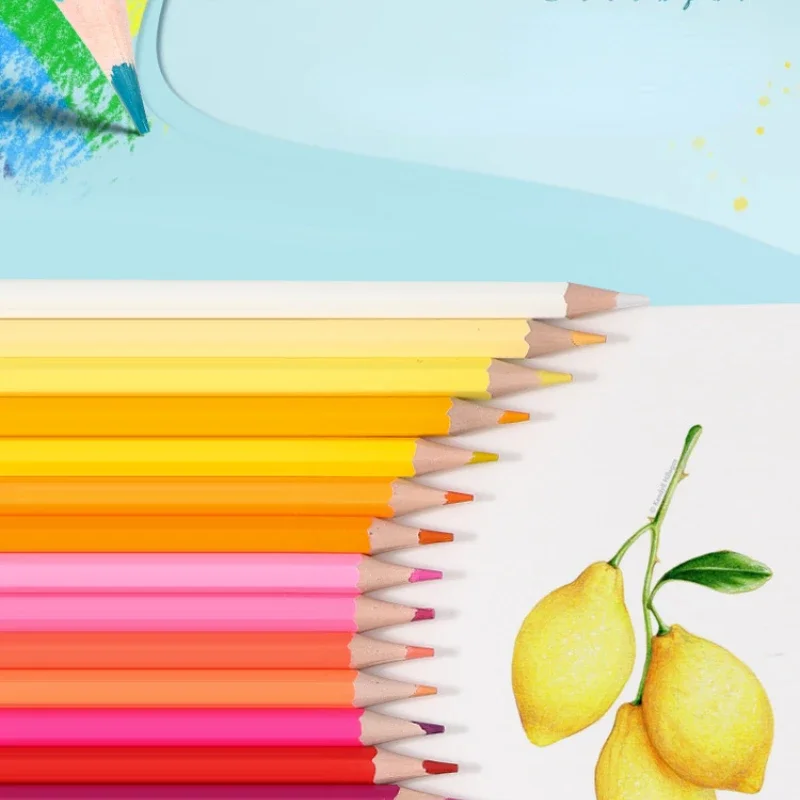 Color Pencils 12/24/48 Sets Erasable Oil-based Painting Sketching Student Supplies