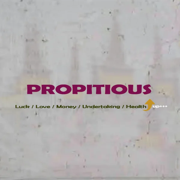 Propitious Store