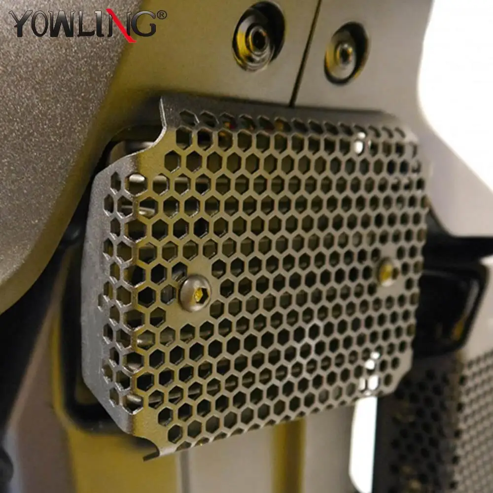 

For Ducati Monster 797 Plus Monster 2017-2022 2021 Radiator Oil Water Cooler Grille Guard Cover Rectifier Protector Cover Guard