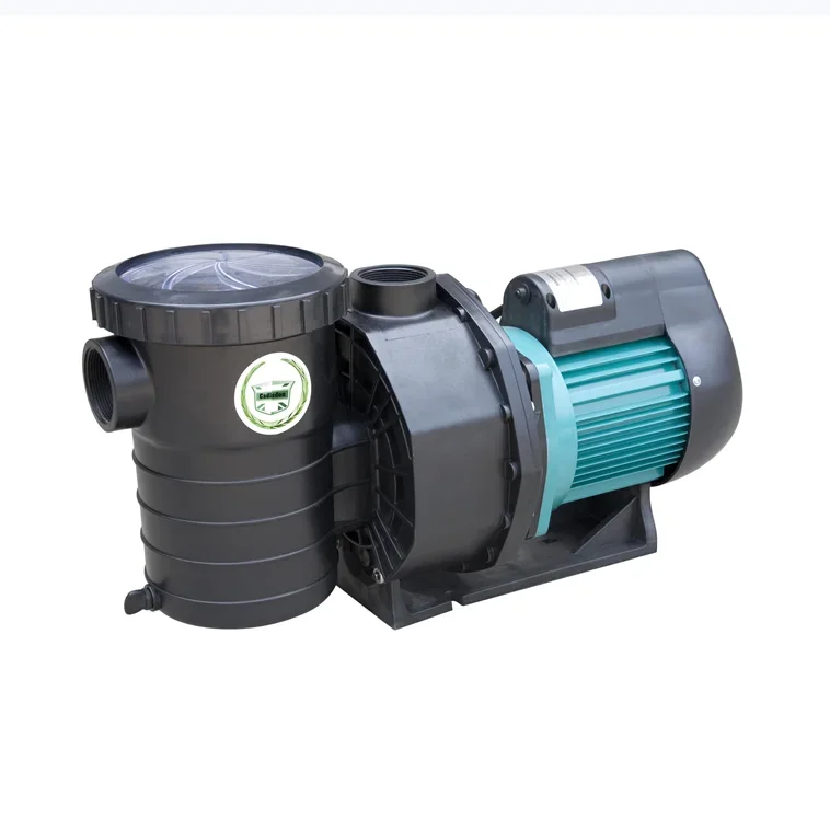 

Piscinas Swimming Pool Pump Australia warehouse stock ship directly