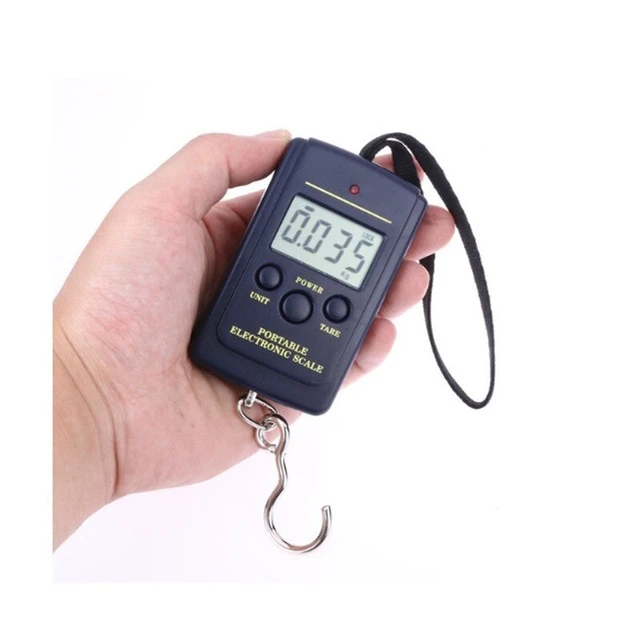 Mini Digital Scale 25Kg 5g Electronic Fishing Weight Pocket Luggage Scales  Hanging Hook Mini Keychain LCD Weighing Balance - AliExpress