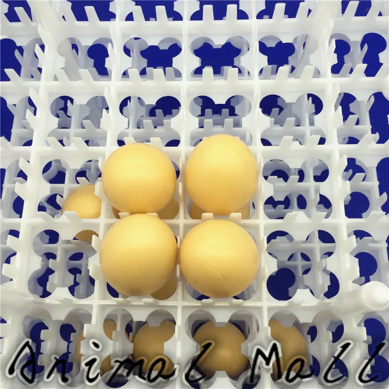 Description Picture 4 of item2 Pcs 36 eggs tray Chicken duck Eggs convenient transportation Incubator tray Chicken Tools