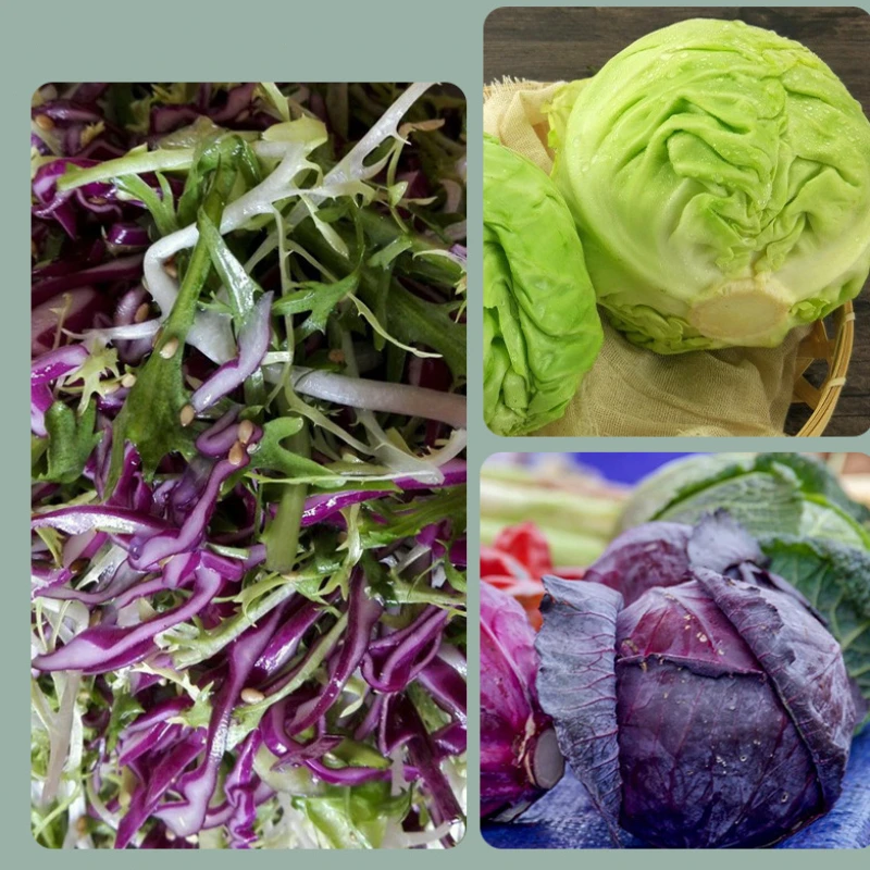 1Pcs Stainless Steel Cabbage Hand Slicer Shredder Vegetable Kitchen Manual Cutter Vegetable Cutter Kitchen Tools