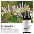 Honeysuckle