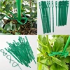 25/50/100Pcs Reusable Garden Cable Ties Adjustable Plastic Cable Ties Tools Plant Support Shrubs Fastener Tree Locking Nylon