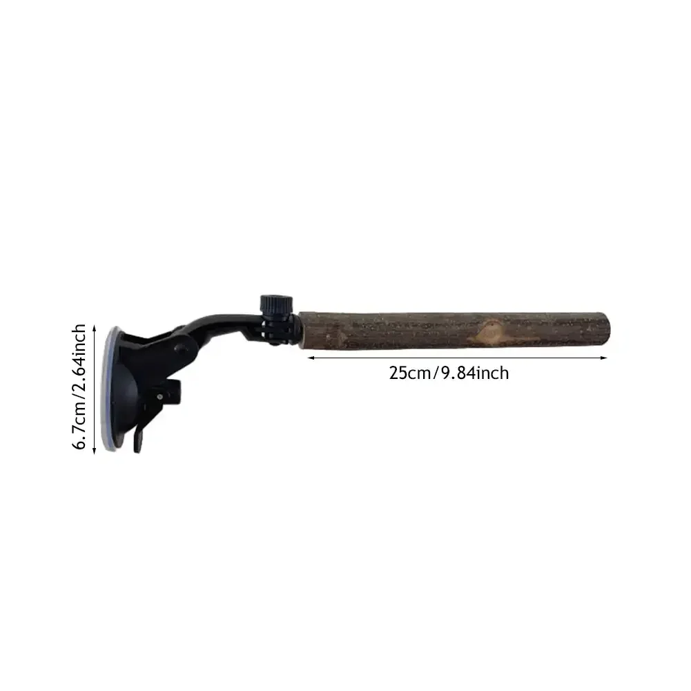 25cm