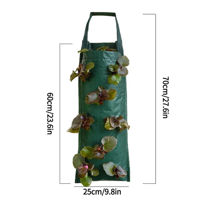 Green(8 holes) 1PC