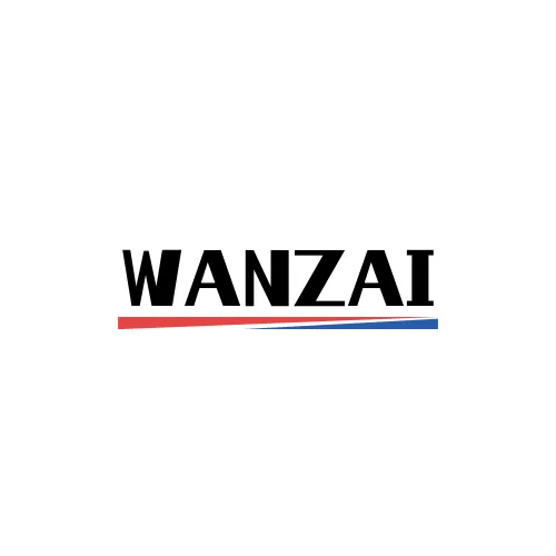 Wanzai Store