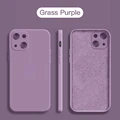 Grass Purple