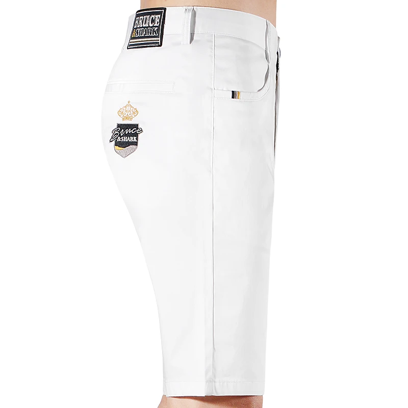 2023 Men's Short trousers Bruce&Shark New shorts for men Casual Straight Leg Loose Style stretching korean autumn clothes Big