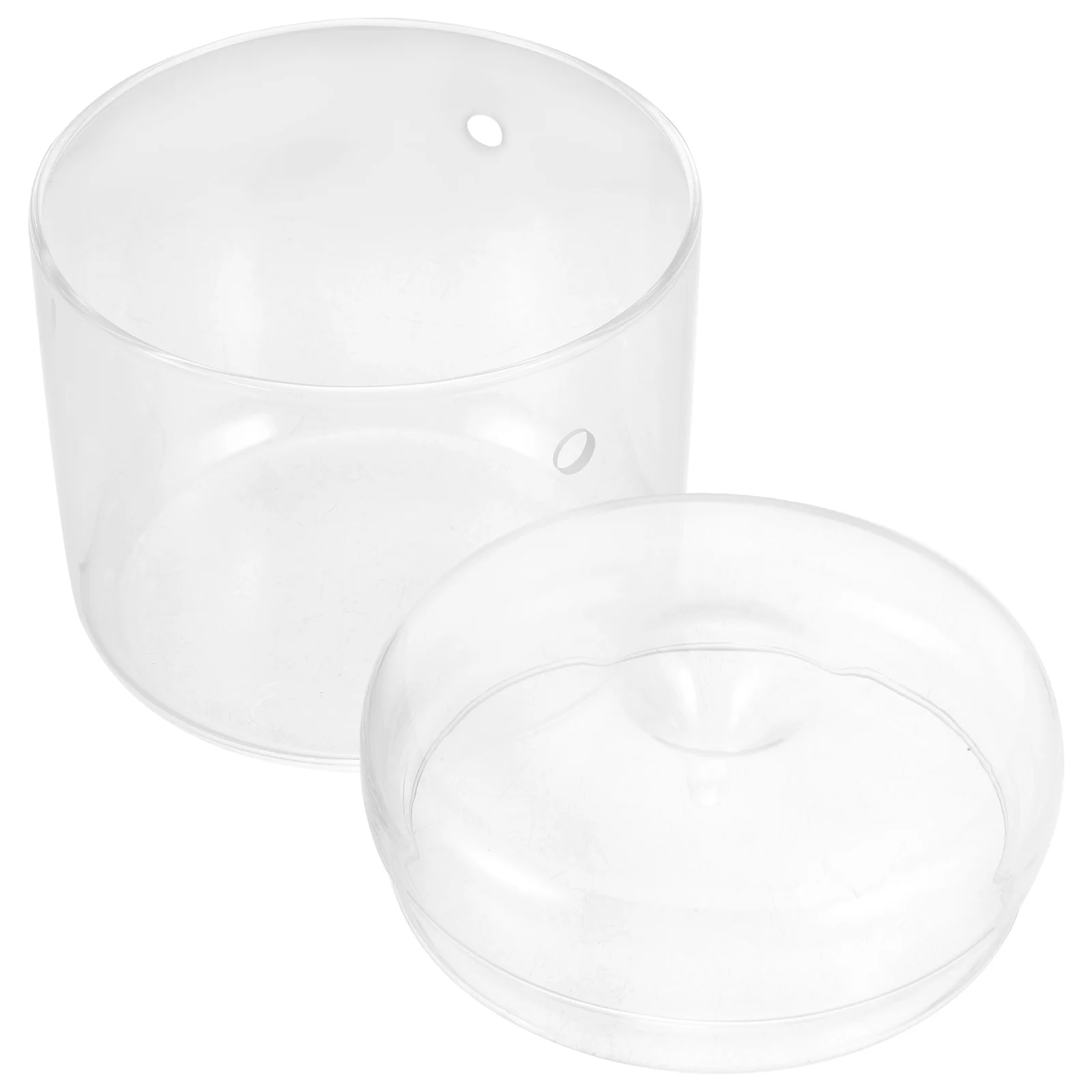 

Micro landscape Ecological Bottle Plant Terrarium Holder Desktop Plants Holder Moss Terrarium Bottle