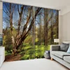 Landscape Painting Series Natural Scenery Sunshade Curtain Bedroom Living Room Home Decoration Window Curtain 6