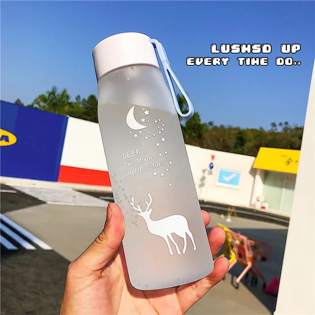 560ml Portable Gradient Frosted Plastic Water Bottle Leak Proof Outdoor