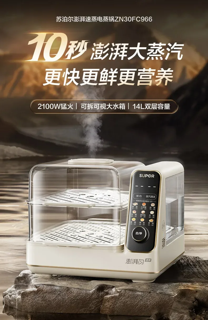 220V Multifunctional Electric Food Steamer, Stainless Steel Steaming Pot with Double Layers for Home Use
