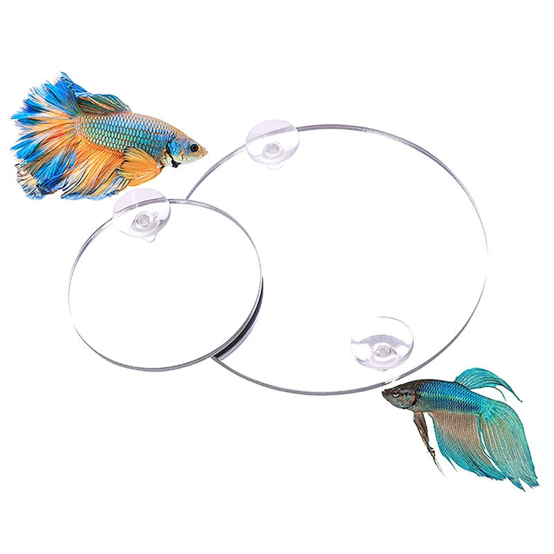 Acrilico Acquario Betta Specchio Acquario Galleggiante Specchio Rotondo Per Pesce Betta Flowerhorn Cichlid Training